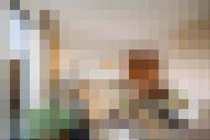 Lage kamp 15 Terwolde thumbnail 6