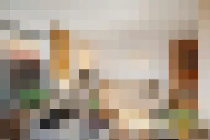 Lage kamp 15 Terwolde thumbnail 8