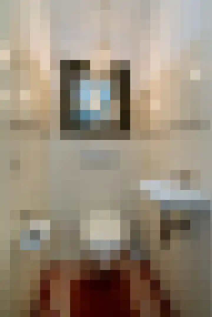 Lage Kamp 16 Denekamp thumbnail 13