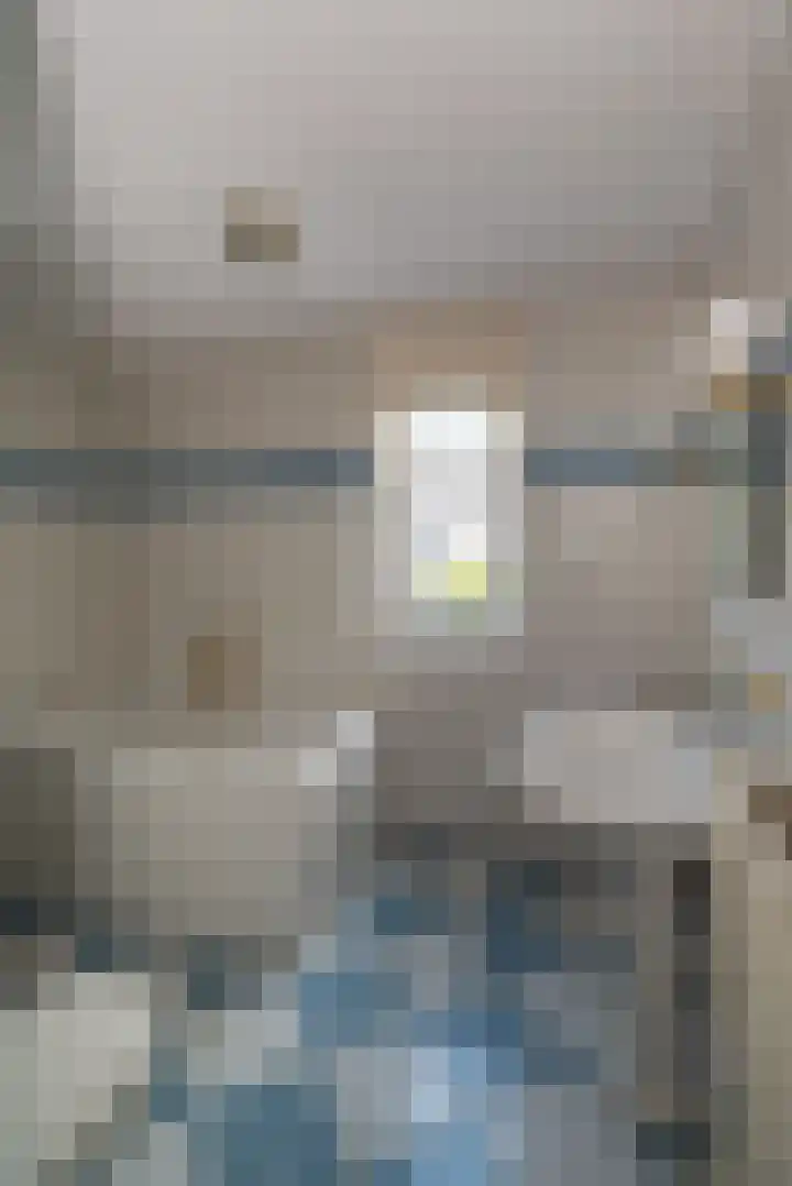 Lage Kamp 16 Denekamp thumbnail 19