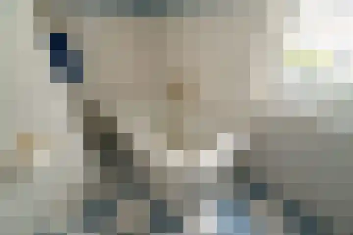 Lage Kamp 16 Denekamp thumbnail 20