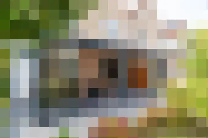 Lage Kamp 16 Denekamp thumbnail 31