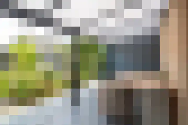 Lage Kamp 16 Denekamp thumbnail 33