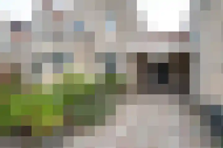 Lage Kamp 16 Denekamp thumbnail 39