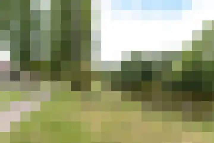 Lage Kamp 16 Denekamp thumbnail 43