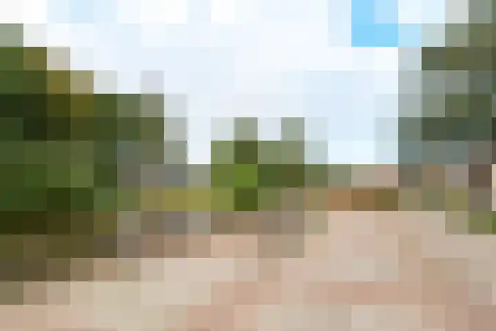 Lage Kamp 16 Denekamp thumbnail 44