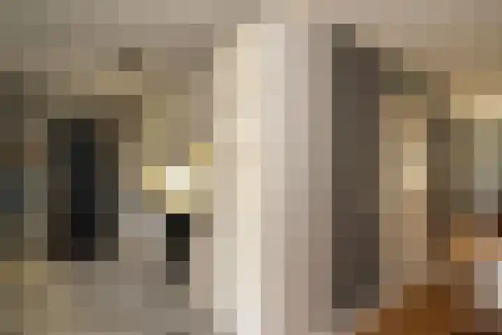 Lage Kamp 16 Denekamp thumbnail 9