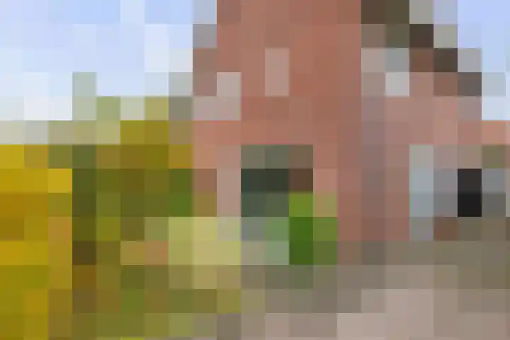 Lage kamp 7 Terwolde foto 2