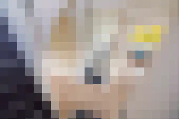 Lage kamp 7 Terwolde thumbnail 27