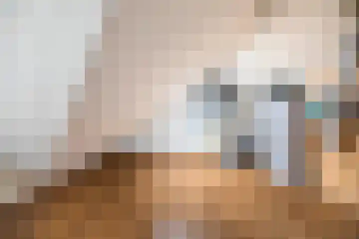 Lage kamp 7 Terwolde thumbnail 28