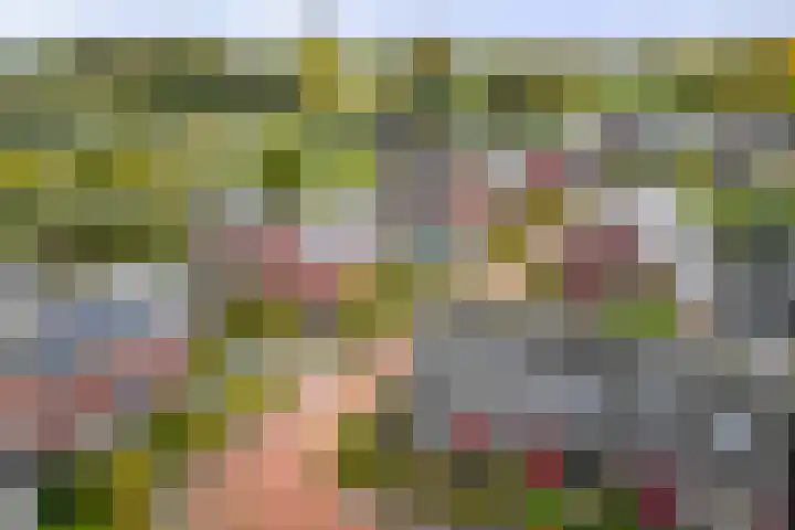 Lage kamp 7 Terwolde thumbnail 38