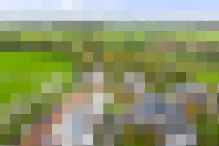 Lage kamp 7 Terwolde thumbnail 41
