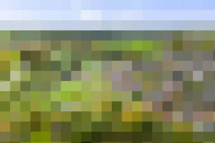 Lage kamp 7 Terwolde thumbnail 42