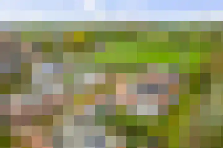 Lage kamp 7 Terwolde thumbnail 44