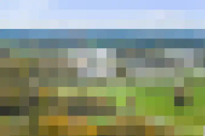 Lage kamp 7 Terwolde thumbnail 45
