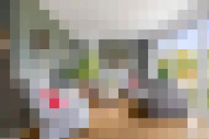 Lage kamp 7 Terwolde thumbnail 8