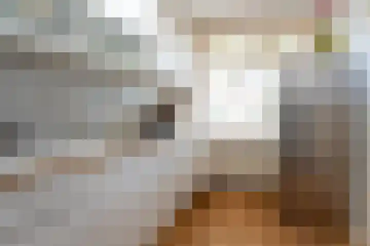 Lage Kant 30 Breda thumbnail 11