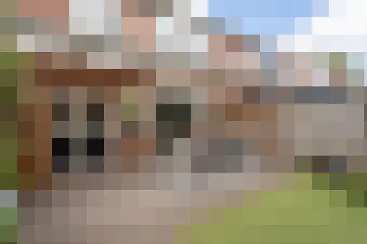 Lage Kant 30 Breda thumbnail 14