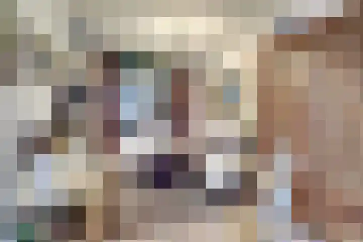 Lage Lei 19 Arcen thumbnail 10