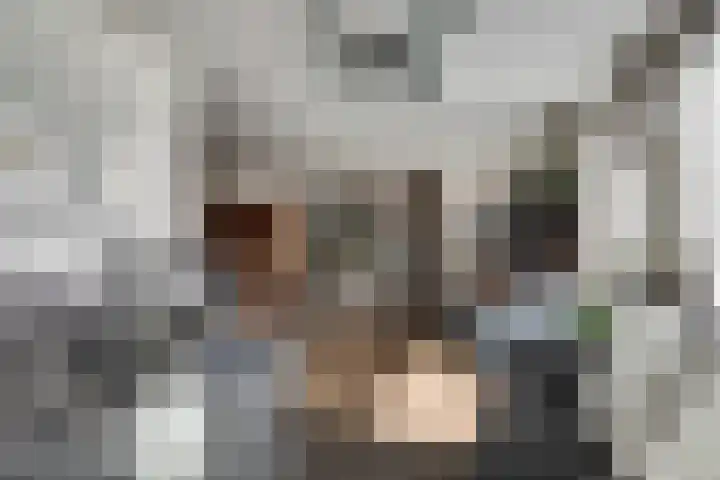 Lage Lei 19 Arcen thumbnail 12