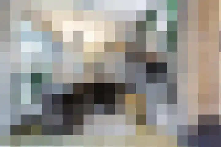 Lage Lei 19 Arcen thumbnail 13