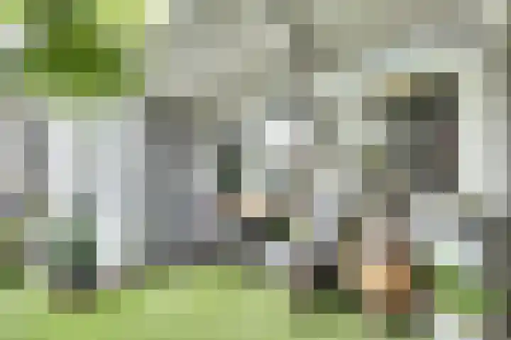 Lage Lei 19 Arcen thumbnail 17