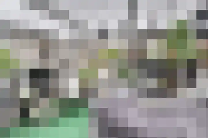 Lage Lei 19 Arcen thumbnail 18