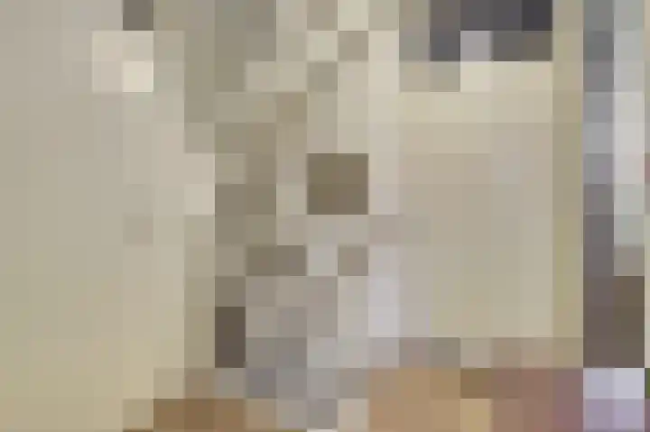 Lage Lei 19 Arcen thumbnail 19