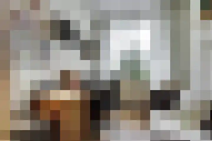Lage Lei 19 Arcen thumbnail 20