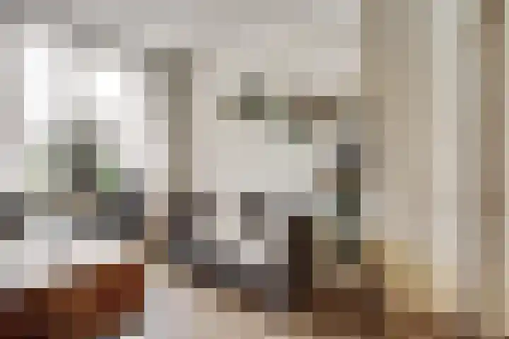Lage Lei 19 Arcen thumbnail 21