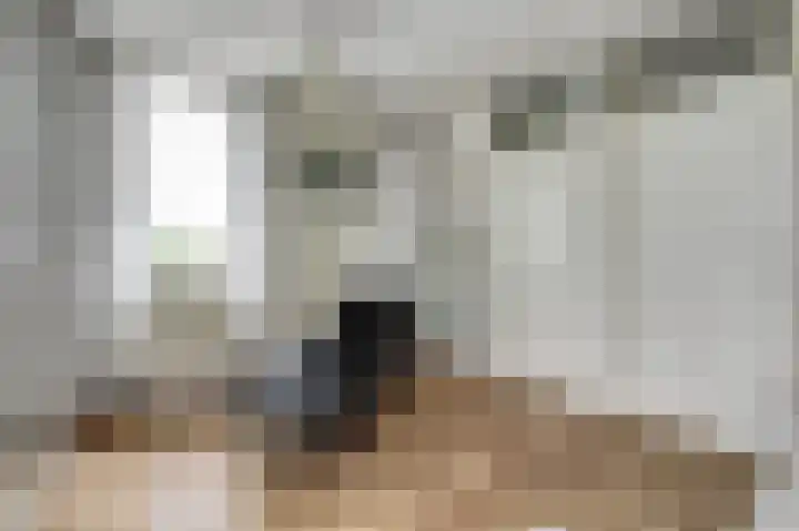 Lage Lei 19 Arcen thumbnail 23