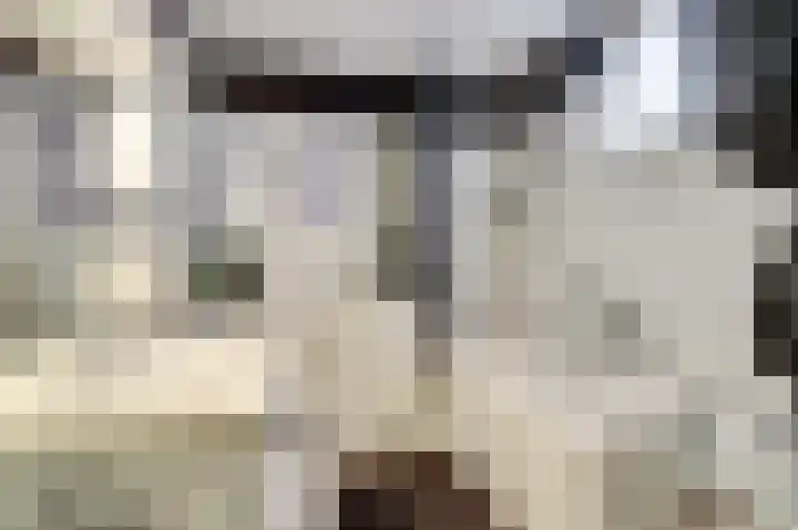 Lage Lei 19 Arcen thumbnail 25