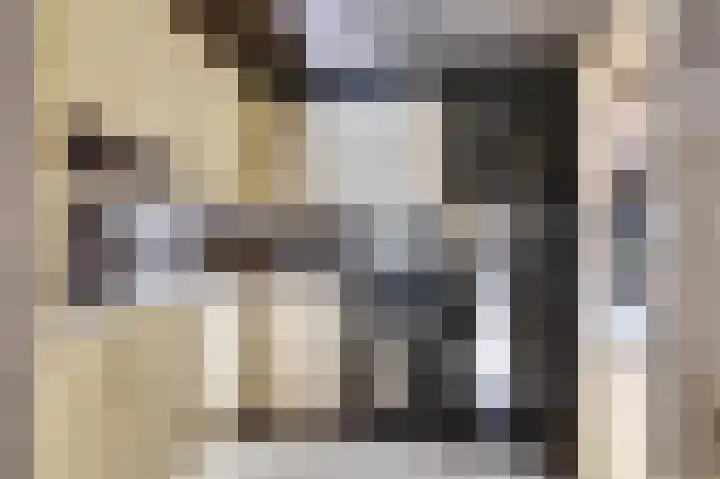 Lage Lei 19 Arcen foto 3