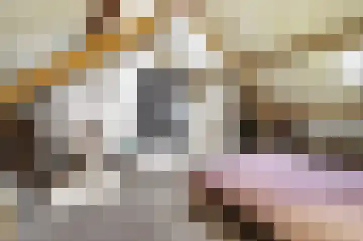 Lage Lei 19 Arcen thumbnail 30