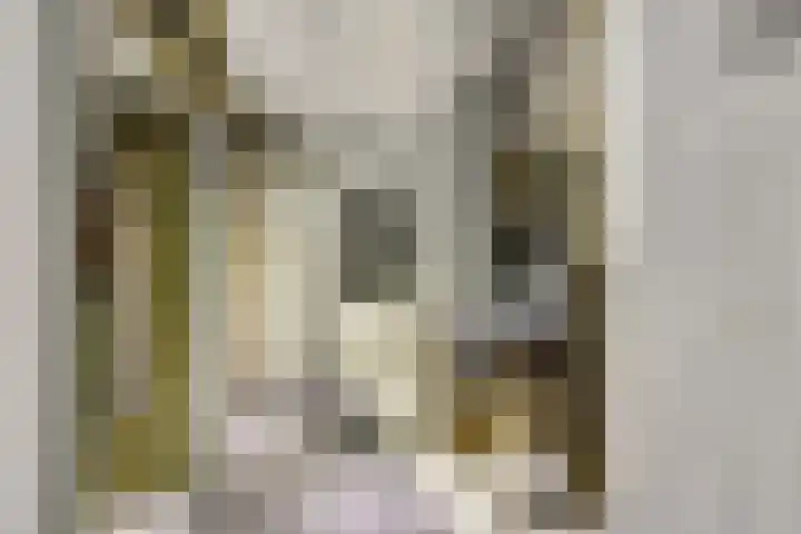 Lage Lei 19 Arcen thumbnail 31