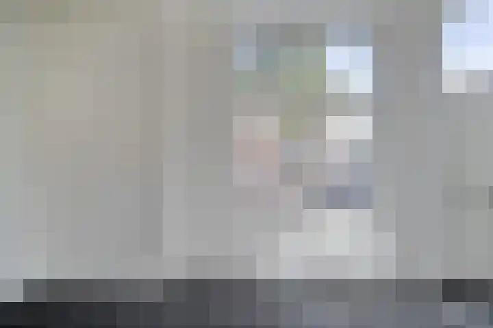 Lage Rijndijk 43 E Leiden thumbnail 12