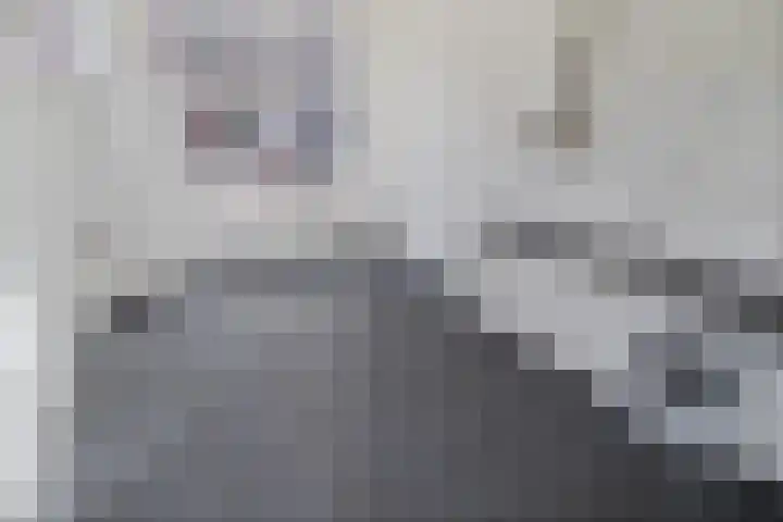 Lage Rijndijk 43 E Leiden thumbnail 4