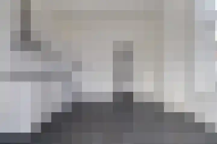 Lage Rijndijk 43 E Leiden thumbnail 9