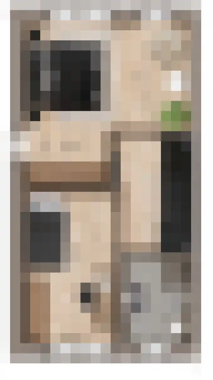 Lage Weide 18 A Oldebroek thumbnail 6
