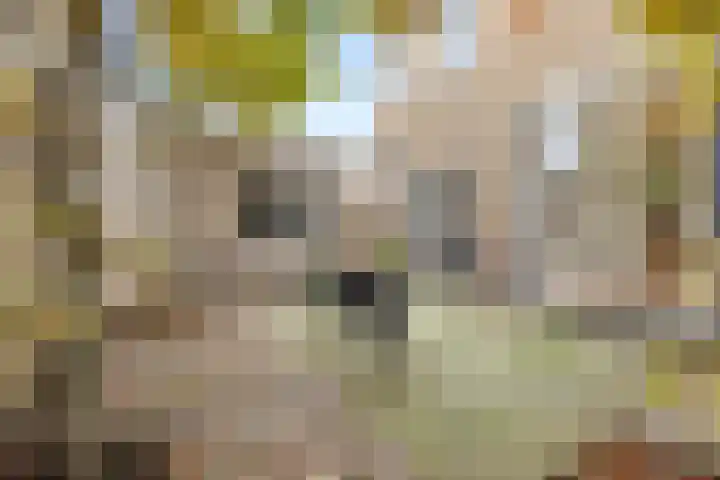 Lagedijk 13 B Zaandijk thumbnail 18