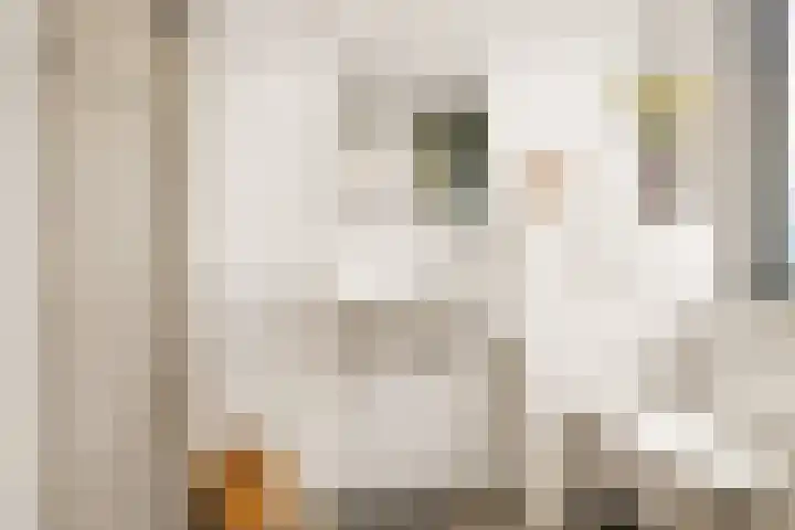 Lagedijk 13 B Zaandijk thumbnail 36