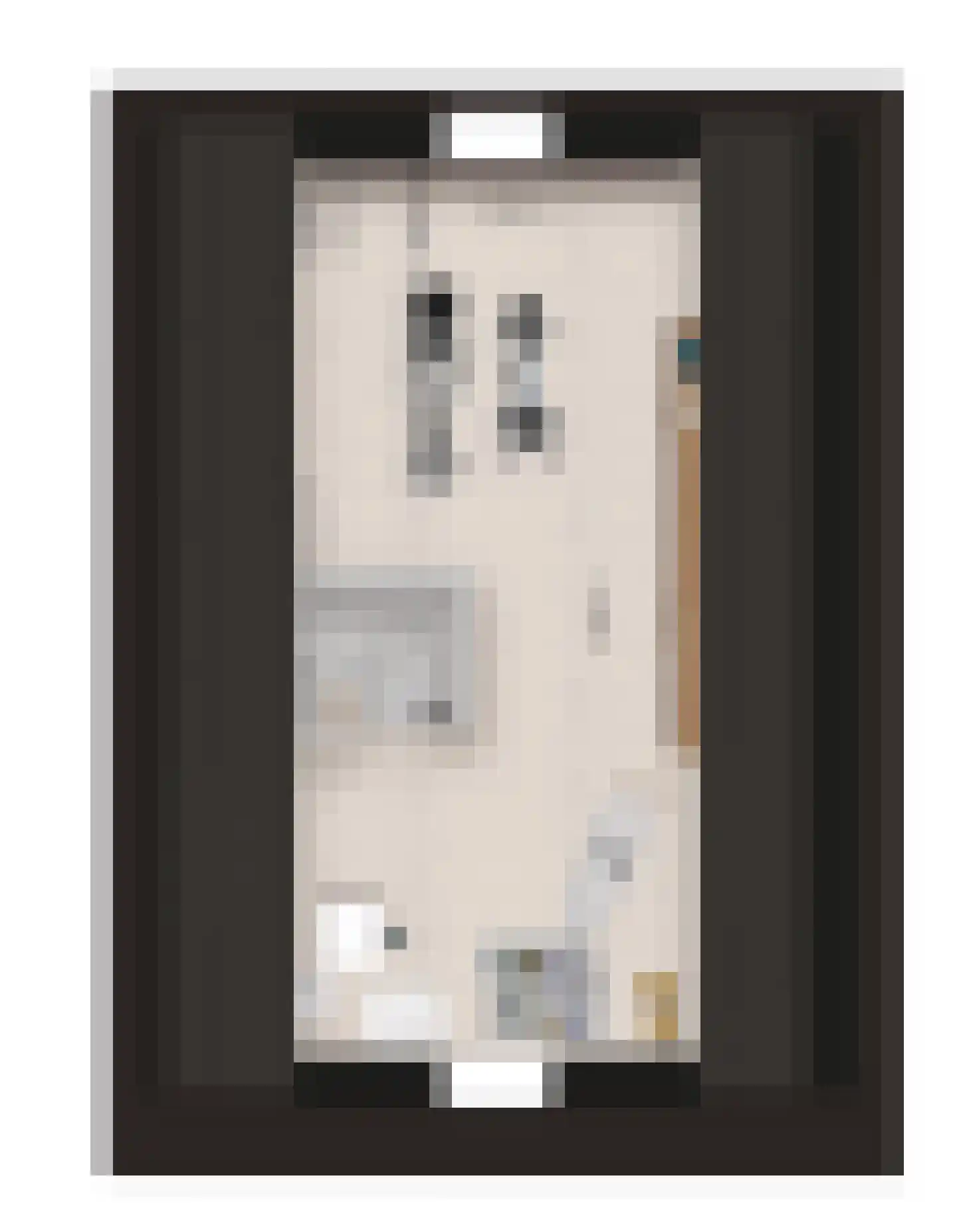 Lagedijk 45 Zaandijk thumbnail 4