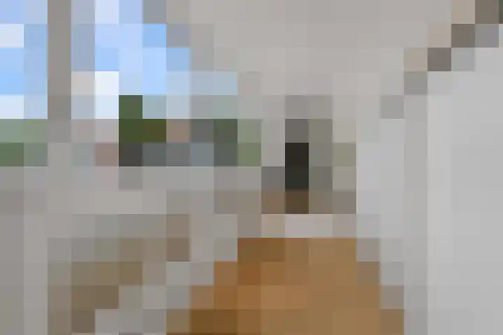 Lagedijk 51 Zaandijk thumbnail 30