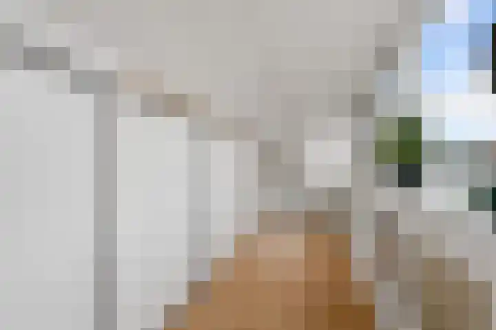Lagedijk 51 Zaandijk thumbnail 31