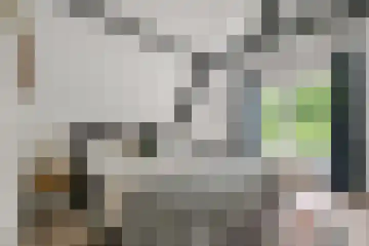 Lagedijk 51 Zaandijk thumbnail 39