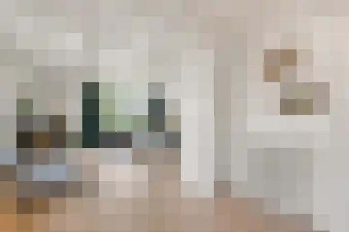 Lagedijk 51 Zaandijk thumbnail 6