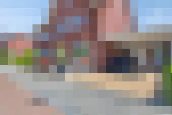 Lagekamp 6 Wapenveld thumbnail 33