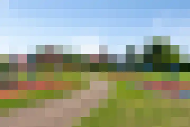 Lagekamp 6 Wapenveld thumbnail 37