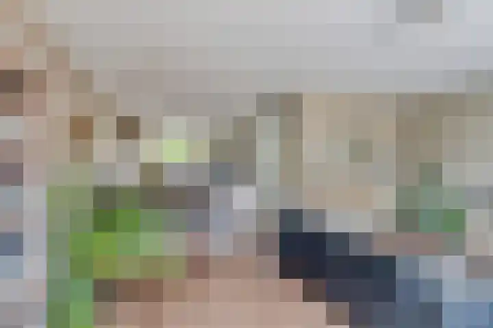 Lagekamp 6 Wapenveld thumbnail 6