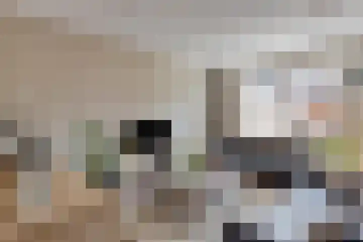 Lagekamp 6 Wapenveld thumbnail 7